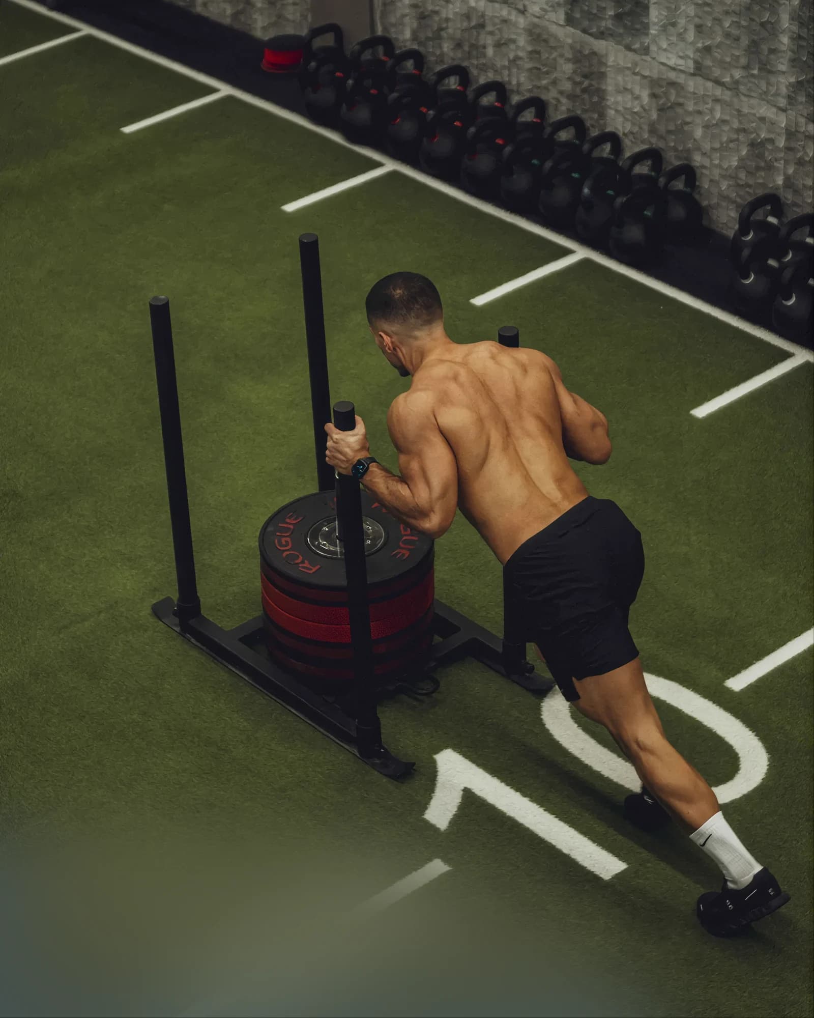 Muscle Max lifestyle visual