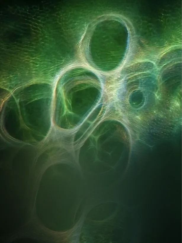 Green cellular illustration for GI360 microbiome testing